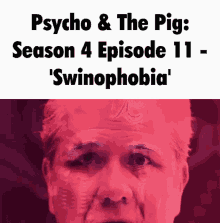 pyscho and the pig the pig psycho centcomm swinophobia