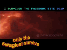 solo i survived the facebook site the site mr site