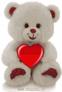 Nasserq Love GIF - Nasserq Love Teddy Bear GIFs