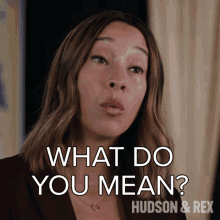 What Do You Mean Sarah Truong GIF - What Do You Mean Sarah Truong Hudson And Rex GIFs