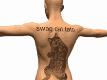 swag cat swagger vice president of swag