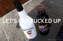 Drank GIF - Fucked Drinking Alcohol GIFs