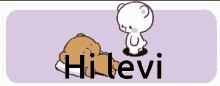 hi levi