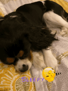 Sleepy Dog GIF - Sleepy Dog Puppy GIFs