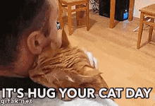 Hug Your Cat Day GIF - Hug Your Cat Day Hug Cuddle GIFs