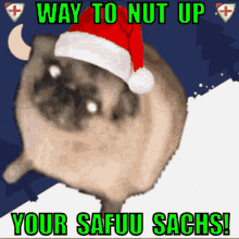 Safuu Safuu Sachs GIF - Safuu Safuu Sachs Way To Nut Up GIFs