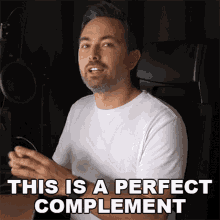 This Is A Perfect Complement Derek Muller GIF - This Is A Perfect Complement Derek Muller Veritasium GIFs