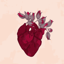 Heart Rose GIF - Heart Rose Heartbeat GIFs