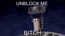 Unblock Me Bitch Bots GIF - Unblock Me Bitch Bots GIFs
