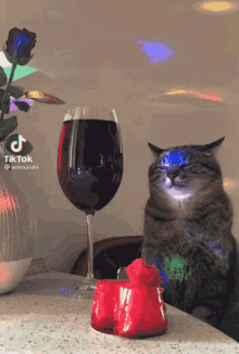 Sad Cat Wine Cat GIF - Sad Cat Wine Cat Disco Cat GIFs