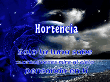 Hortencia Name GIF - Hortencia Name Hortencia Name GIFs