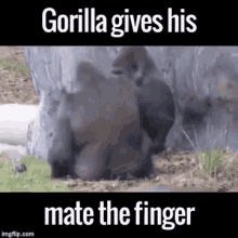Gorillaz Middle Finger GIF - Gorillaz Middle Finger Slap GIFs