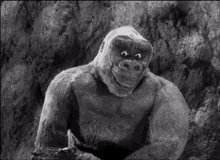 King Kong Son Of Kong GIF - King Kong Son Of Kong Kiko GIFs