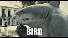 King Shark Suicide Squad GIF - King Shark Suicide Squad Bird GIFs