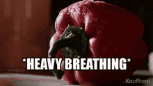 Pepper Heavy Breathing GIF - Pepper Heavy Breathing Nervous GIFs