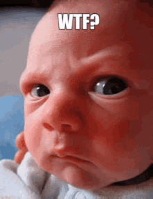 Wtf What The GIF - Wtf What The Baby GIFs