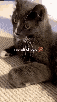 ravioli check