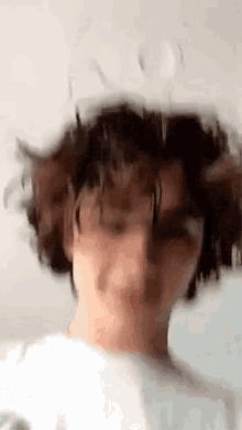 timothee timothee
