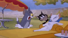 Tom And Jerry Springtime For Thomas GIF - Tom And Jerry Springtime For Thomas Tom Y Jerry GIFs