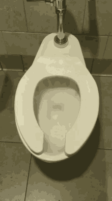 Toilet Toilet Bowl GIF - Toilet Toilet Bowl Bowl GIFs