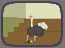 Ostrich Laughing GIF - Ostrich Laughing GIFs