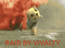 raid by vivalty vivalty tiboo