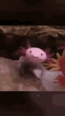 Greatday Shout GIF - Greatday Shout Fish GIFs