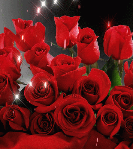 Flowers Red Roses GIF - Flowers Red Roses Glitter - Discover & Share GIFs