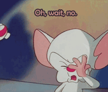 Pinky And The Brain Oh Wait No GIF - Pinky And The Brain Oh Wait No Bad Idea GIFs