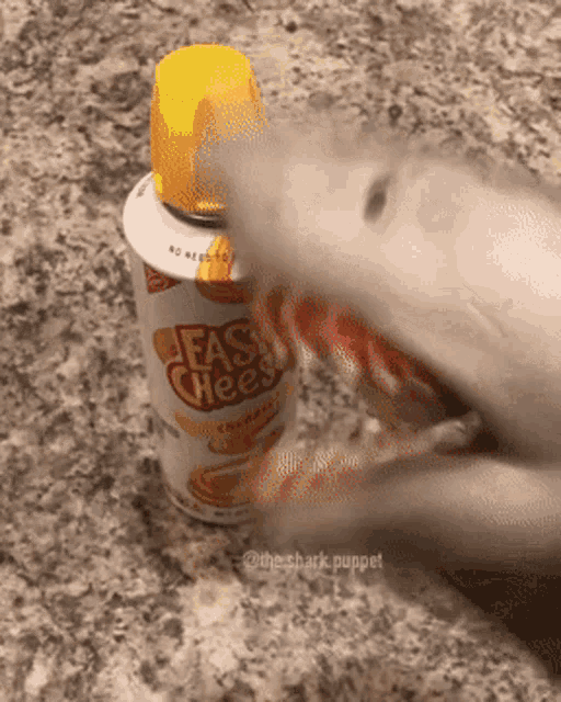 Shark Puppet Cheese GIF - Shark Puppet Cheese Yeah GIFs