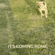 Its Coming Home Itscoming GIF - Its Coming Home Itscoming Footballs Coming Home GIFs
