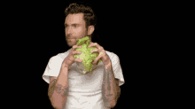 healthy adam levine cabbage