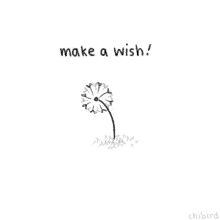 Make A Wish! GIF - Make A Wish Wish Dandelion GIFs