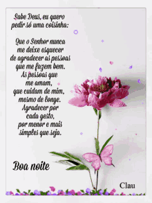 boa noite good night quote flower butterfly