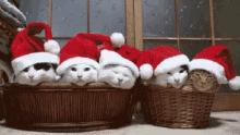Merry Christmas Santa Is Coming GIF - Merry Christmas Santa Is Coming Cat GIFs