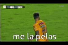 me la pelas andre pierre gignac tigres footballer me la pelas andre pierre gignac tigres footballer