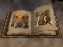 pages dogs