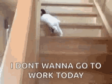 I Dont Wanna Go To Work Today I Dont Want To Go To Work Today GIF - I Dont Wanna Go To Work Today I Dont Want To Go To Work Today Nope GIFs