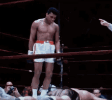 The Goat Muhammad Ali GIF - The Goat Muhammad Ali Boxing GIFs