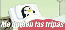 Pinguino De Hora De Aventura Dolor De Estómago GIF - Tripas Panza Pansa GIFs
