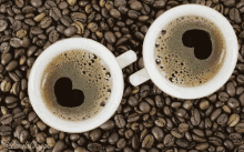 Caffé Coffee GIF - Caffé Coffee Chougne GIFs
