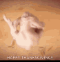 Turkey Thanksgiving GIF - Turkey Thanksgiving Friends GIFs