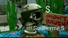 Saiki Guillherme GIF - Saiki Guillherme Guilherme S GIFs