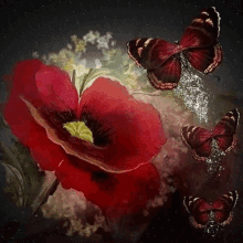 Flowers Butterfly GIF - Flowers Butterfly Red GIFs