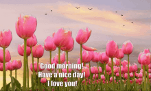 Tulips Morning Good Morning GIF - Tulips Morning Tulips Good Morning GIFs