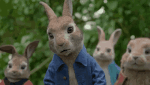 Huh Confused GIF - Huh Confused Rabbit GIFs