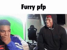 furry picture