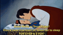 Snow White And The Seven Dwarves Snow Flake GIF - Snow White And The Seven Dwarves Snow White Snow Flake GIFs