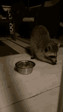 animal trash