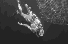 swimming dip